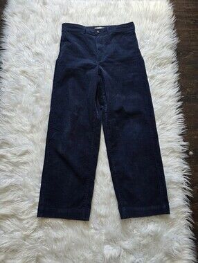 Everlane Navy Corduroy Pants